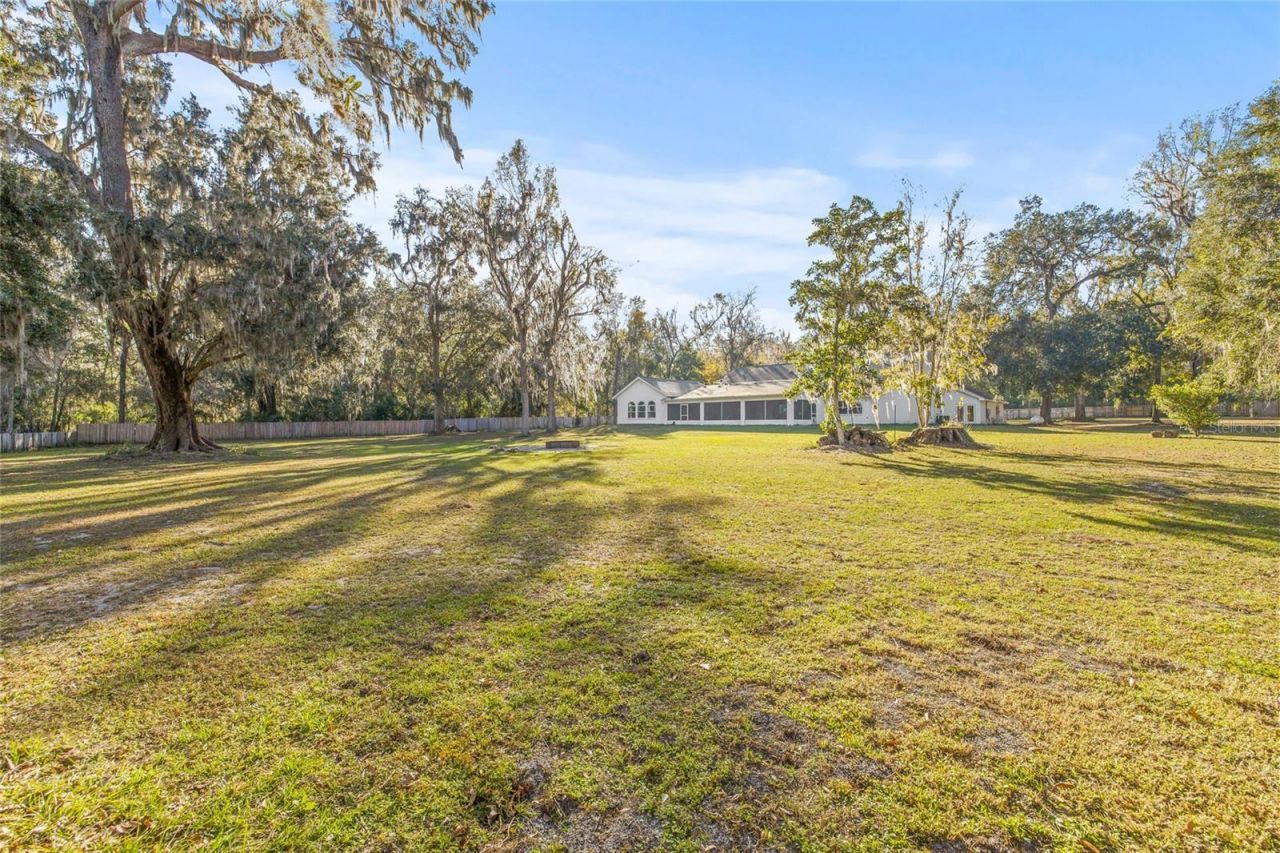 31445 Amberlea Road, Dade City, FL 33523 Photo