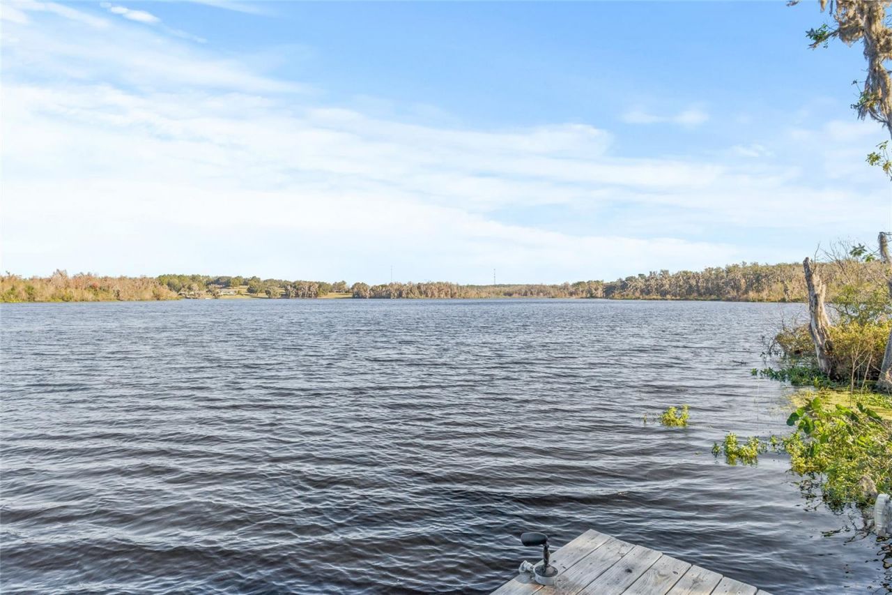 31445 Amberlea Road, Dade City, FL 33523 Photo