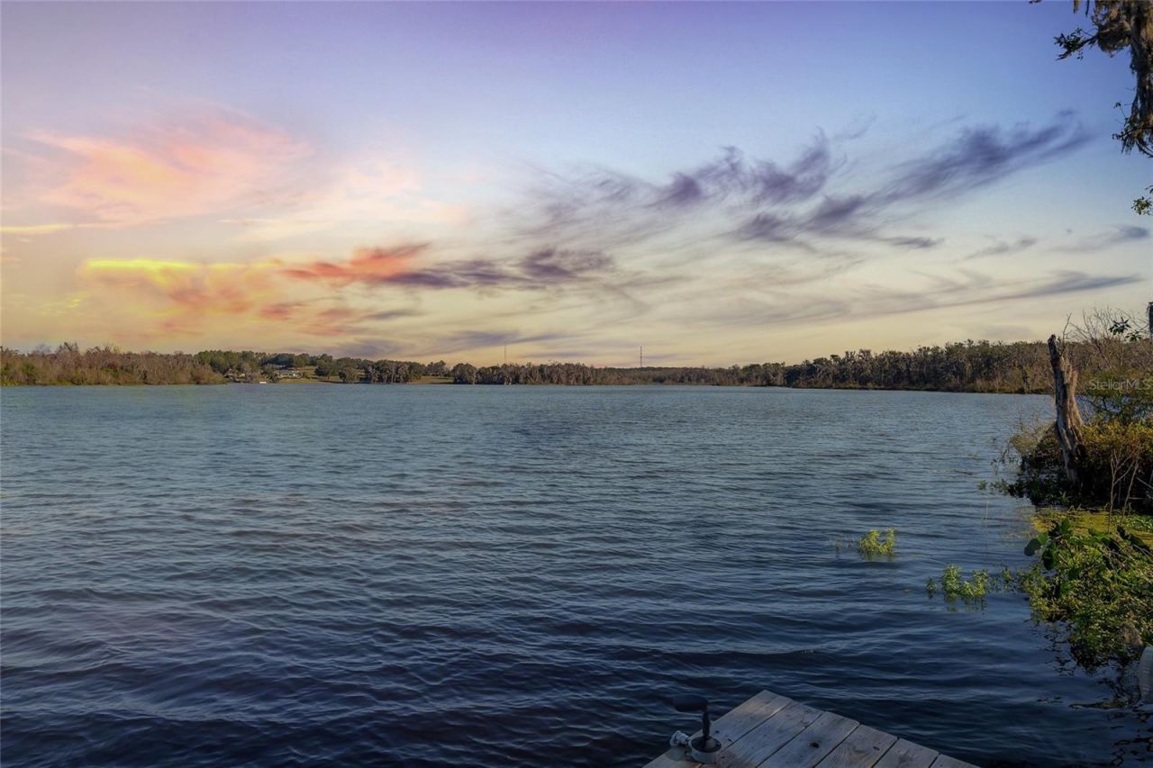 31445 Amberlea Road, Dade City, FL 33523 Photo