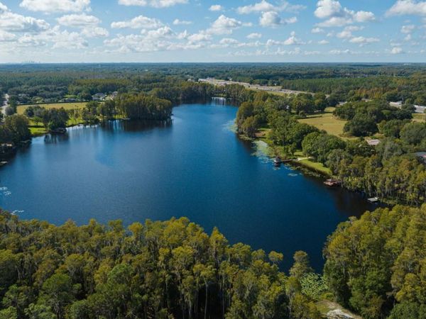 109 BELLAMERE PALMS COURT, LUTZ, FL 33549