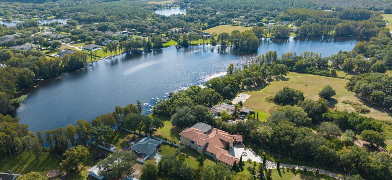 109 Bellamere Palms Court, Lutz, FL 33549 Photo