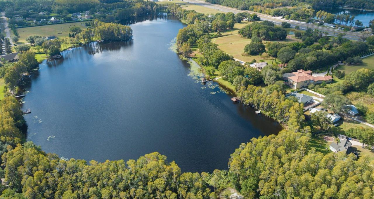 109 Bellamere Palms Court, Lutz, FL 33549 Photo