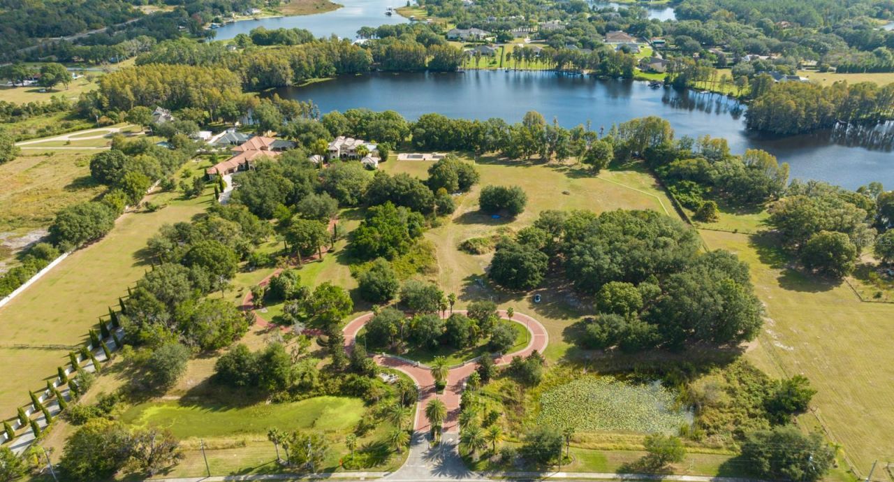 109 Bellamere Palms Court, Lutz, FL 33549 Photo