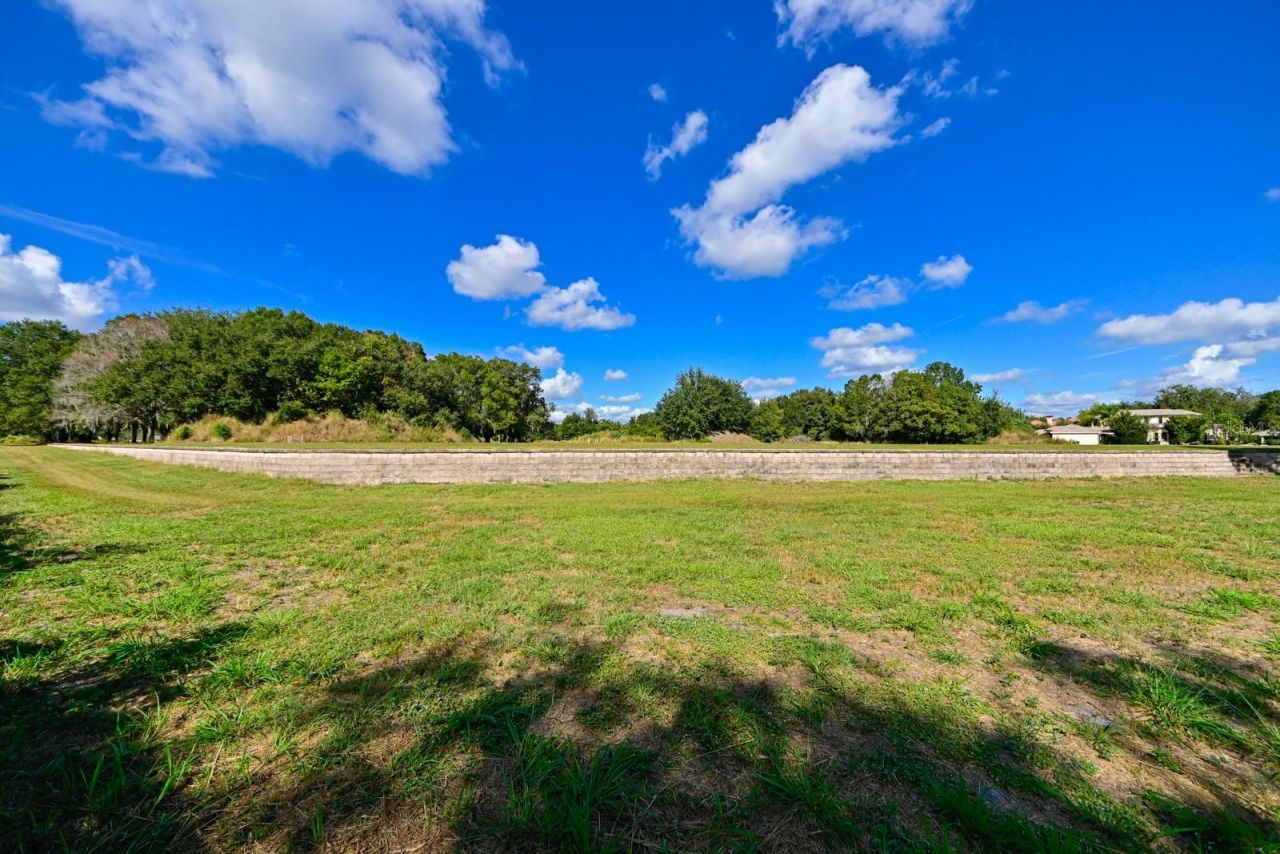 109 Bellamere Palms Court, Lutz, FL 33549 Photo