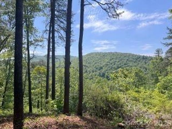 0 GREEN RIVER Road, Zirconia, NC 28790