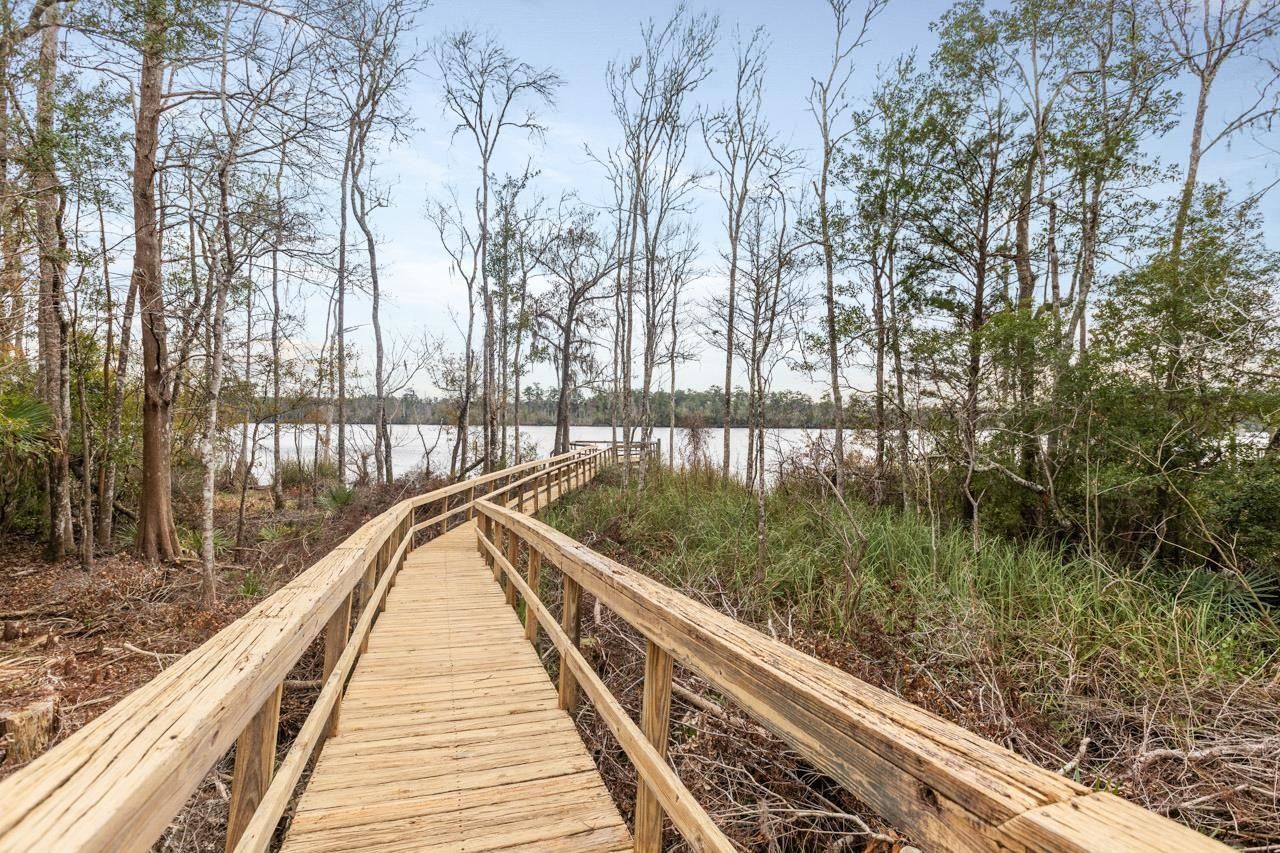 29 Gibson Road, Sopchoppy, FL 32358 Photo