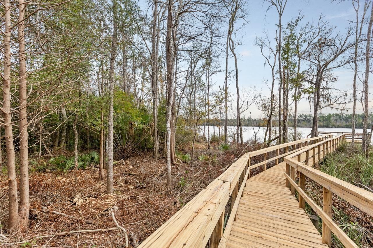 29 Gibson Road, Sopchoppy, FL 32358 Photo