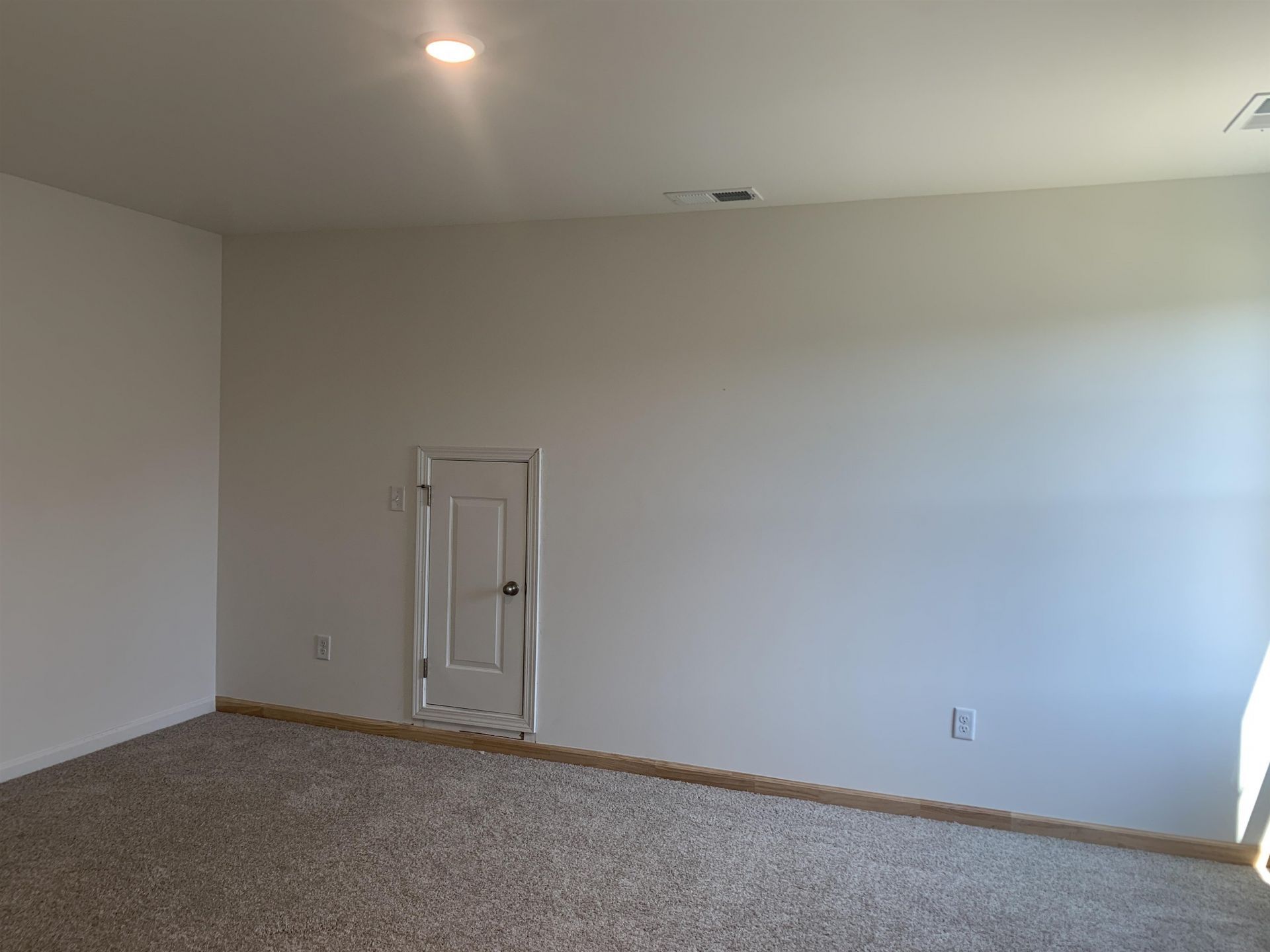 304 Palmetto Sand Loop Photo 12