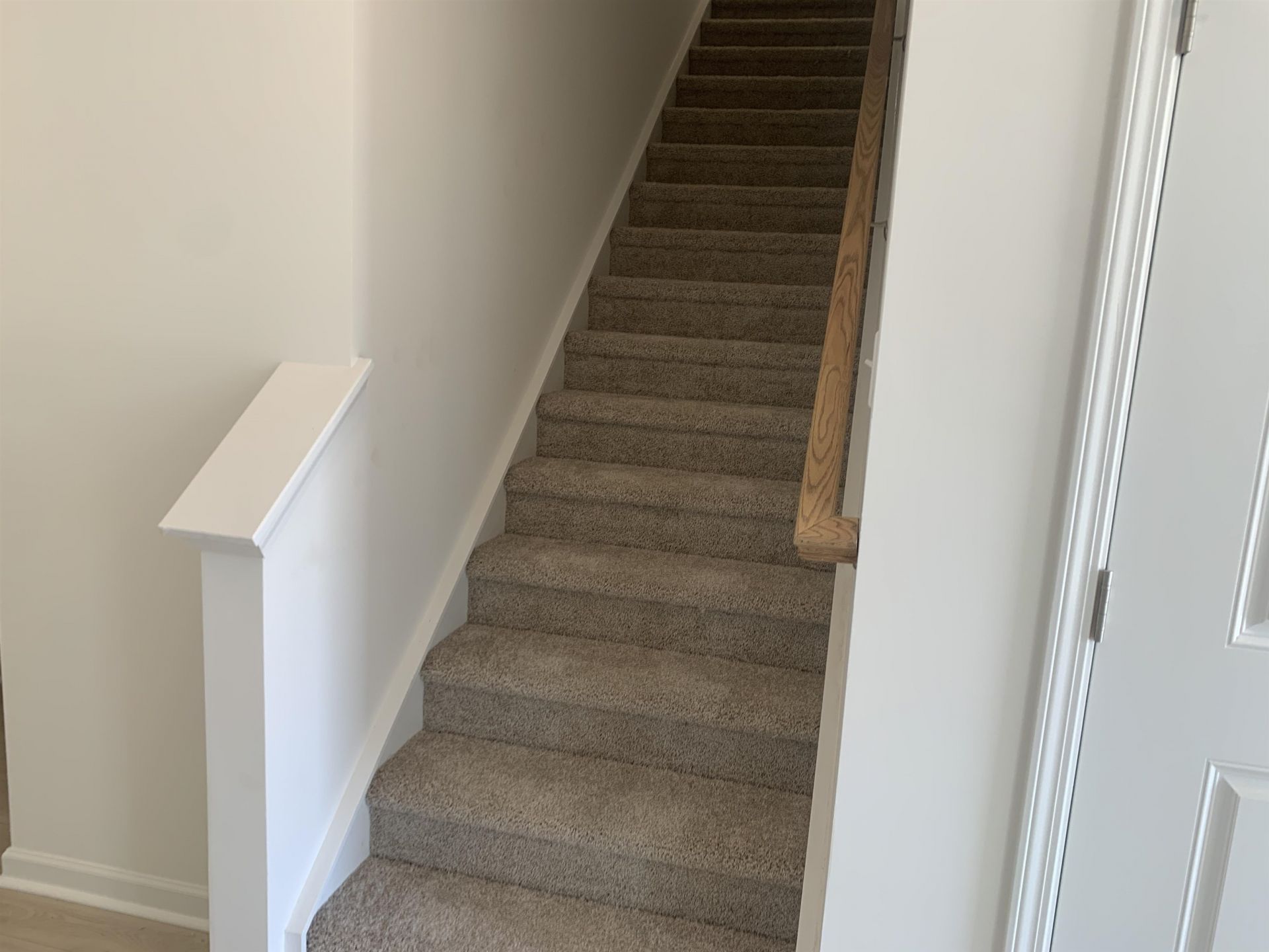 304 Palmetto Sand Loop Photo 8