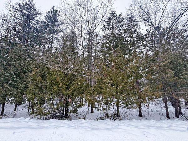 Lot 201 Lakewood Drive, Presque Isle, MI 49777