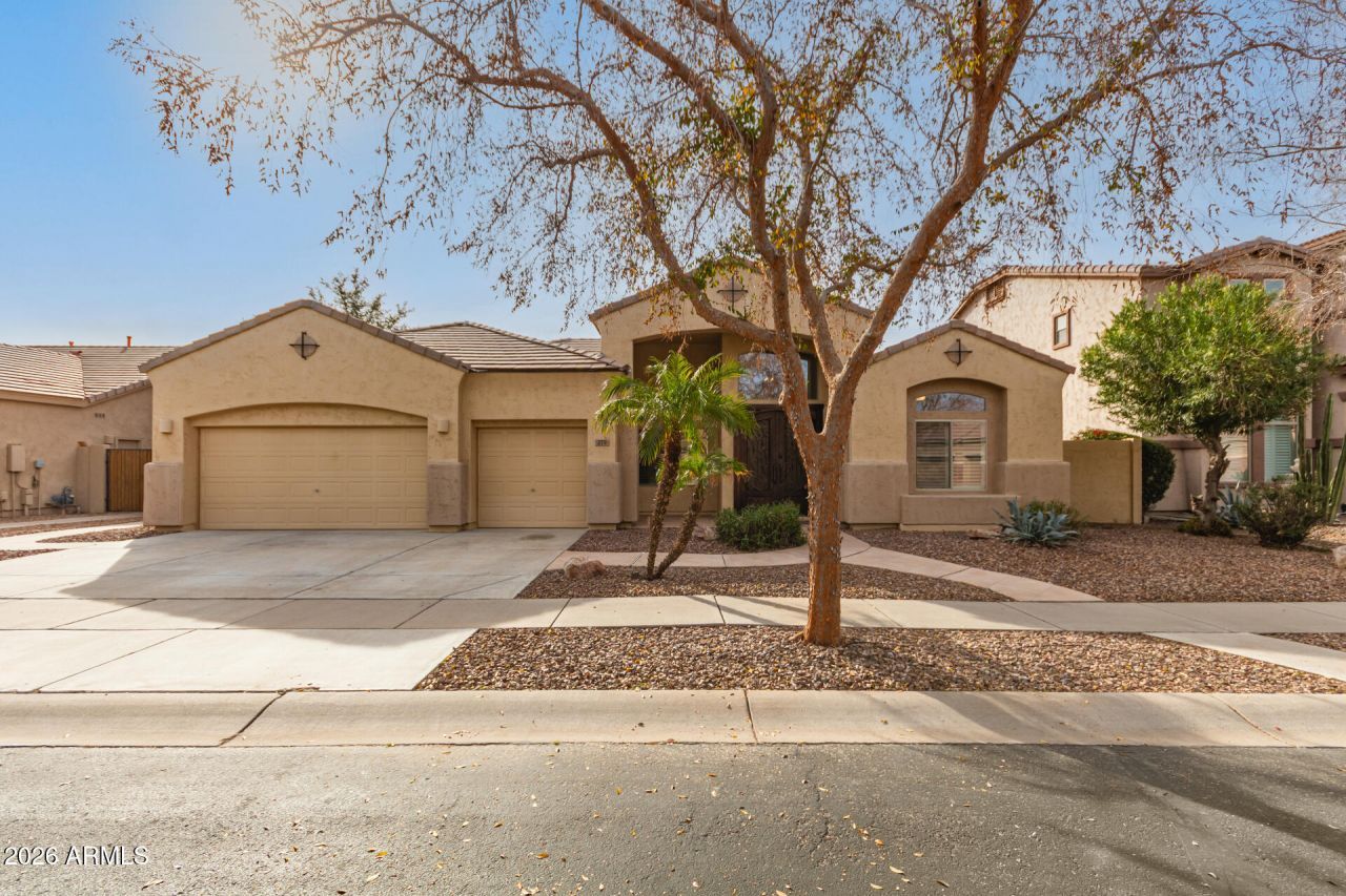 279 W Kingbird Drive, Chandler, AZ 85286 Main Photo
