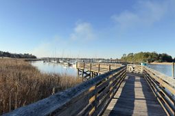 97 Madison Dr.  photo 4