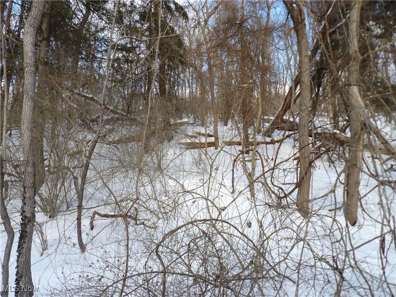 477 W 39th Street, Shadyside, OH 43947 Photo 35