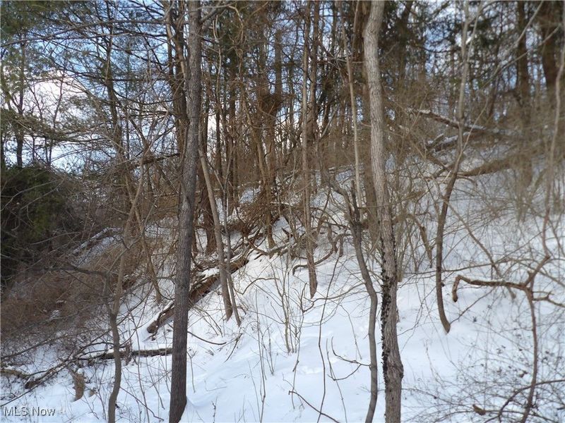 477 W 39th Street, Shadyside, OH 43947 Photo 36