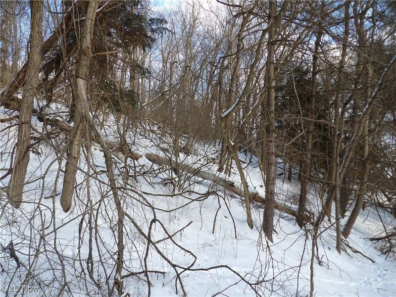 477 W 39th Street, Shadyside, OH 43947 Photo 37