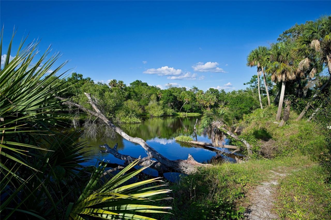 6188 Talon Preserve Drive, Nokomis, FL 34275 Photo
