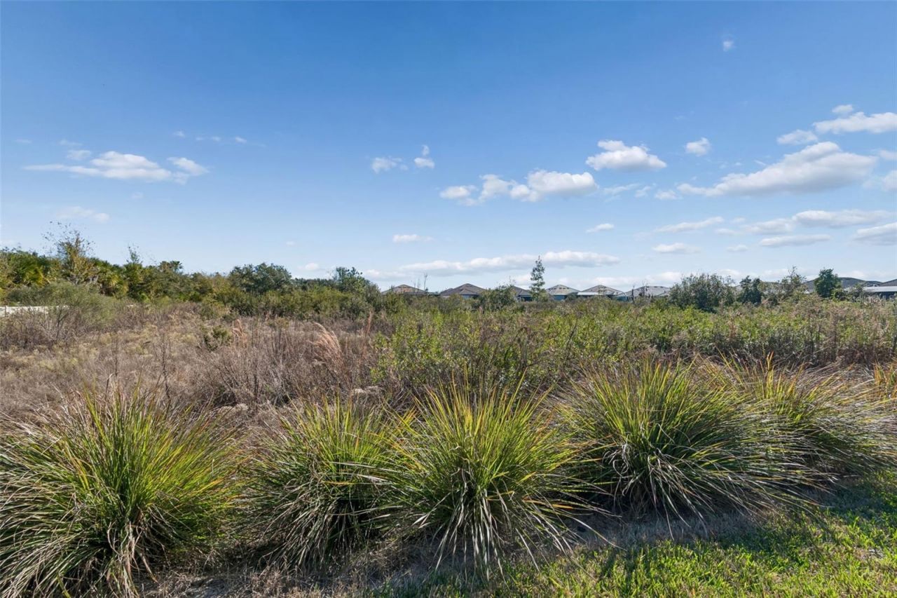 4848 Rosatti Road, Wesley Chapel, FL 33543 Photo