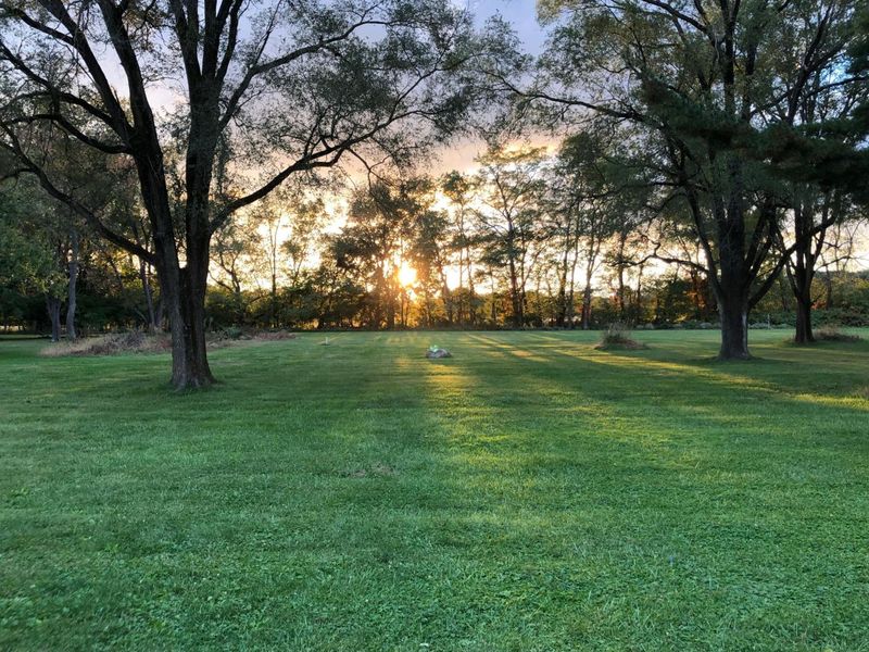 7801 Harlem Road, Westerville, OH 43081 Photo 59