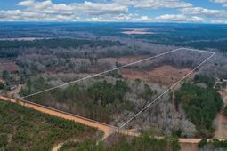 0 Swamp Rabbit Road photo 4