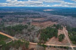 0 Swamp Rabbit Road photo 4