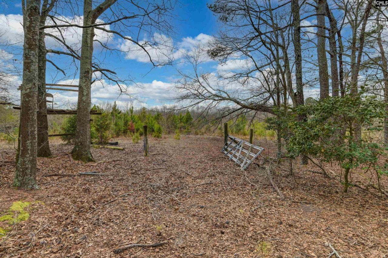 0 Swamp Rabbit Road Photo 40