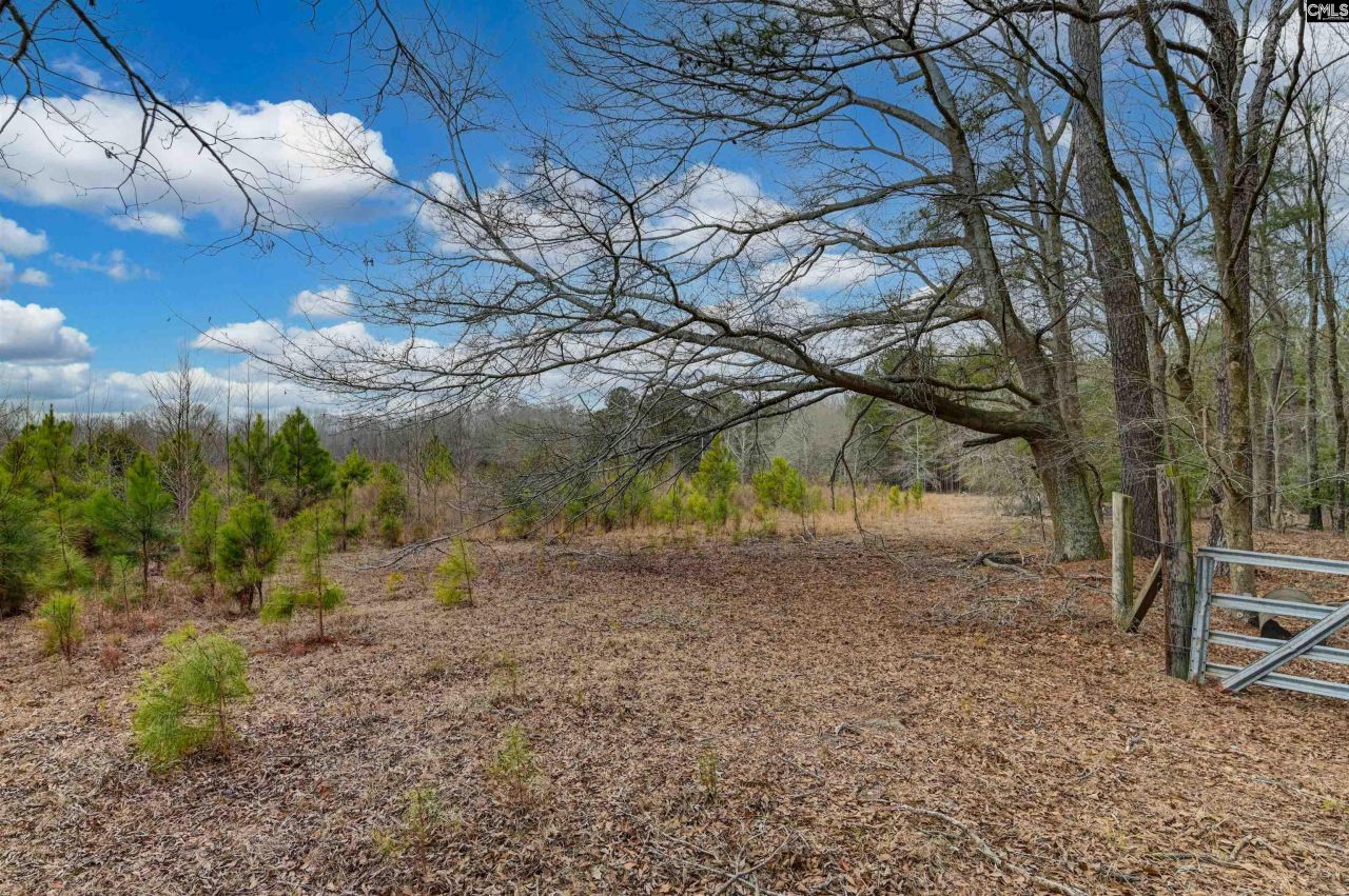 0 Swamp Rabbit Road Photo 41