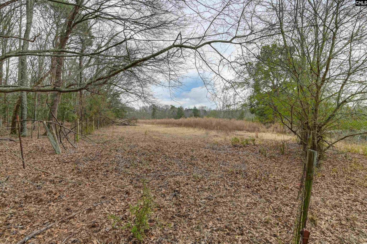 0 Swamp Rabbit Road Photo 42