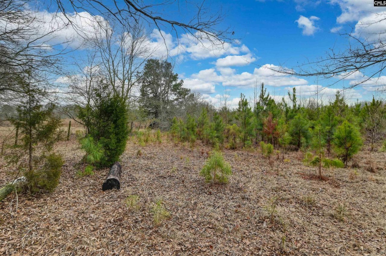 0 Swamp Rabbit Road Photo 43