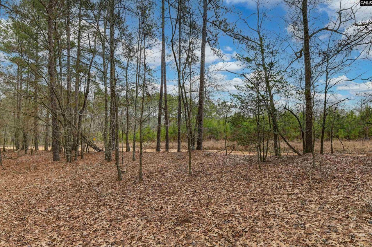 0 Swamp Rabbit Road Photo 44