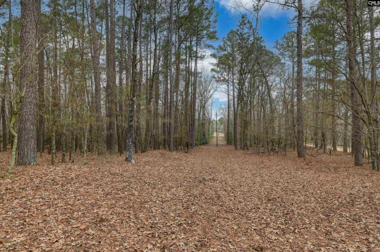 0 Swamp Rabbit Road Photo 45