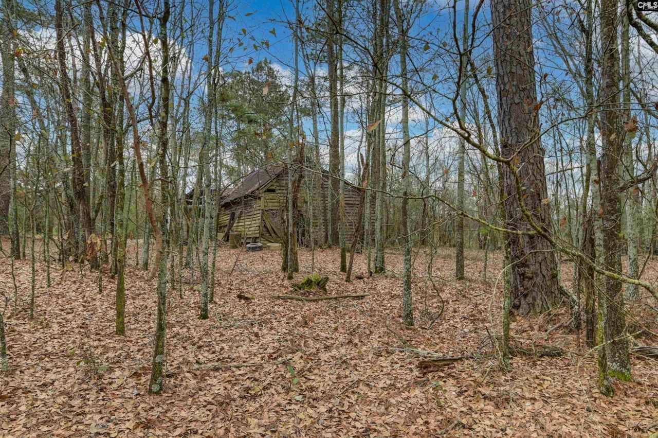 0 Swamp Rabbit Road Photo 46