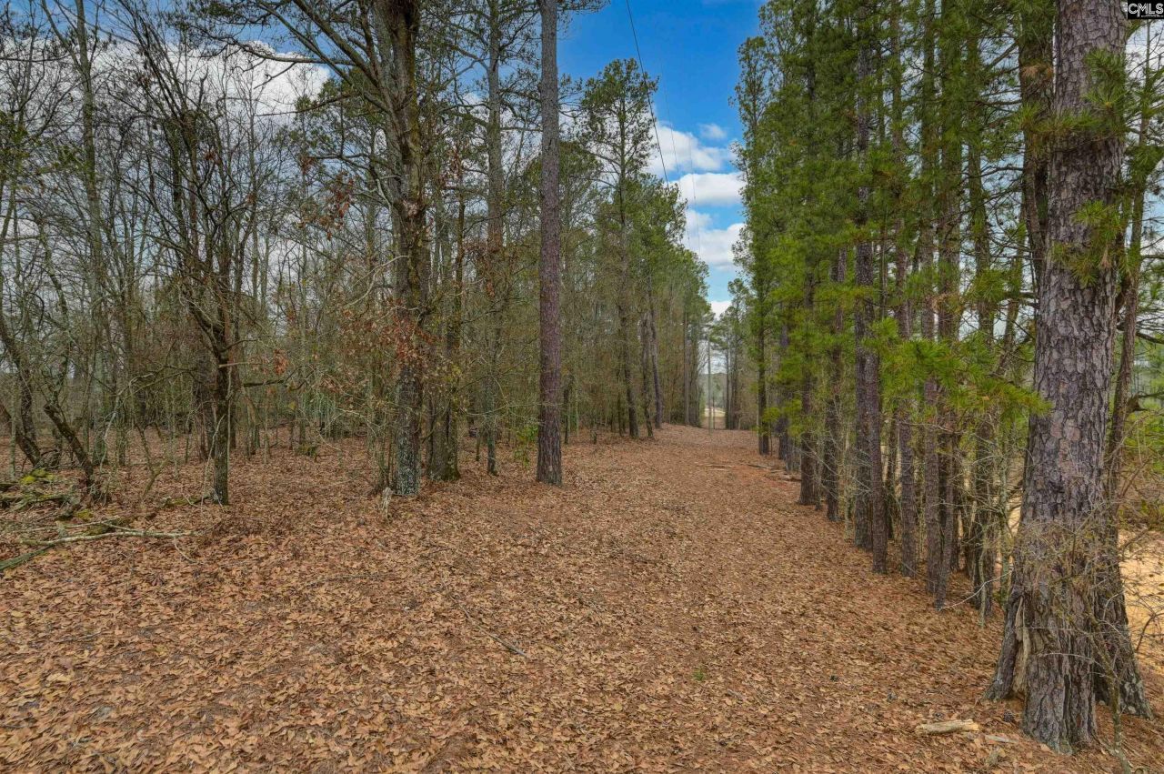 0 Swamp Rabbit Road Photo 47