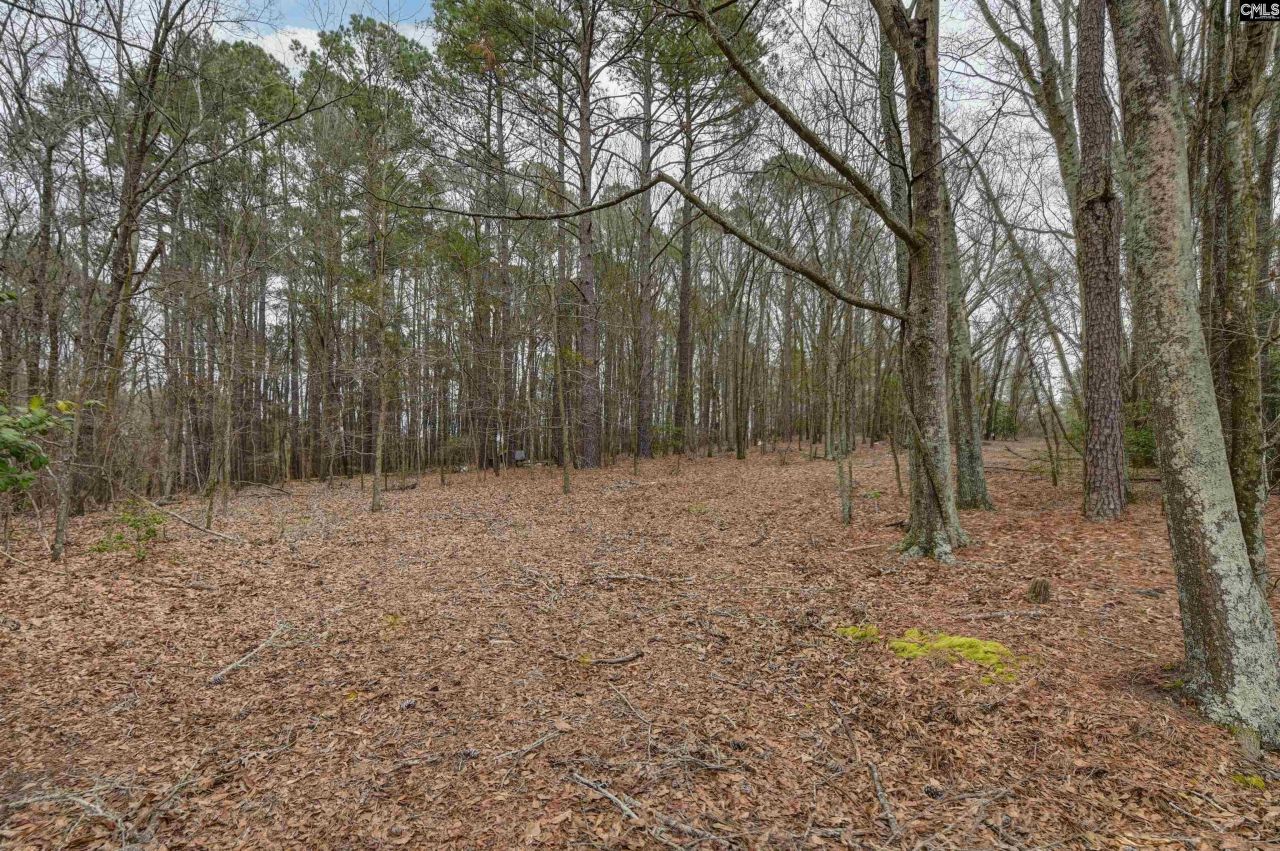 0 Swamp Rabbit Road Photo 48