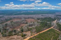 0 Swamp Rabbit Road photo 4