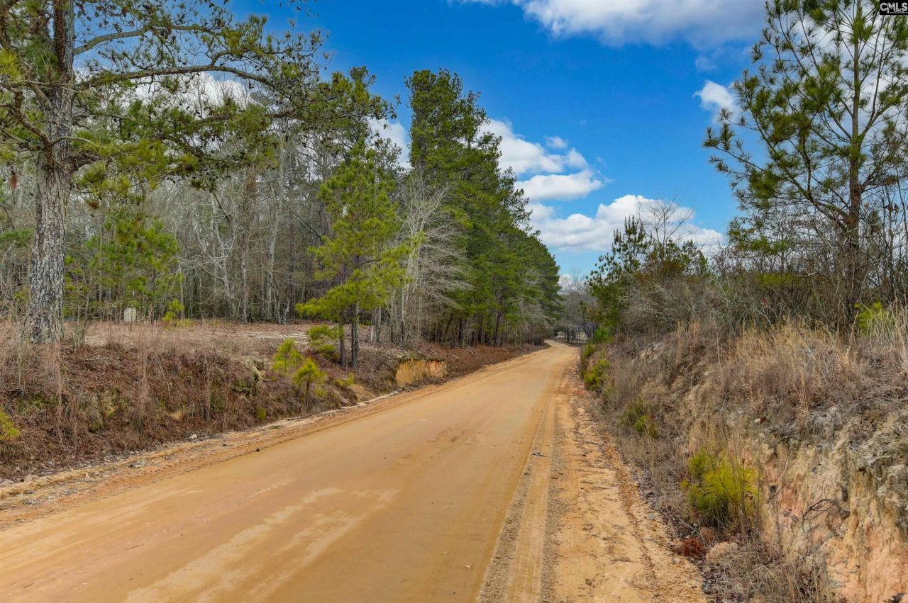 0 Swamp Rabbit Road Photo 50