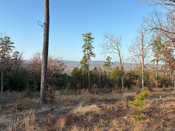 21217 Valley View Cove, Roland, AR 72135