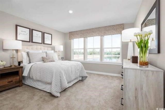 208 Bent Green Ct. Photo 14