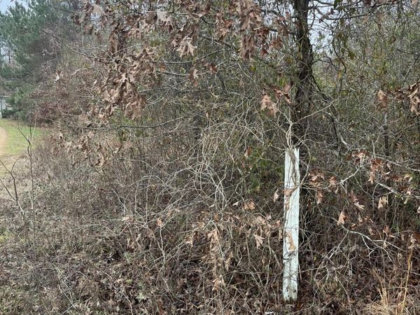 Coventry Road, Natchez, MS 39120