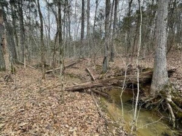 3908 E Raccoon Valley Drive, Powell, TN 37849