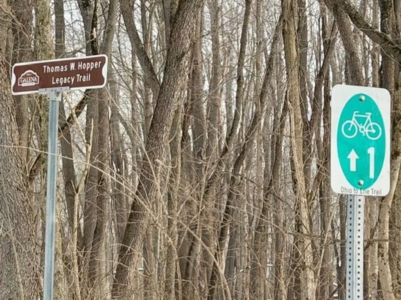 224 Honeywood Drive N, Galena, OH 43021 Photo 48