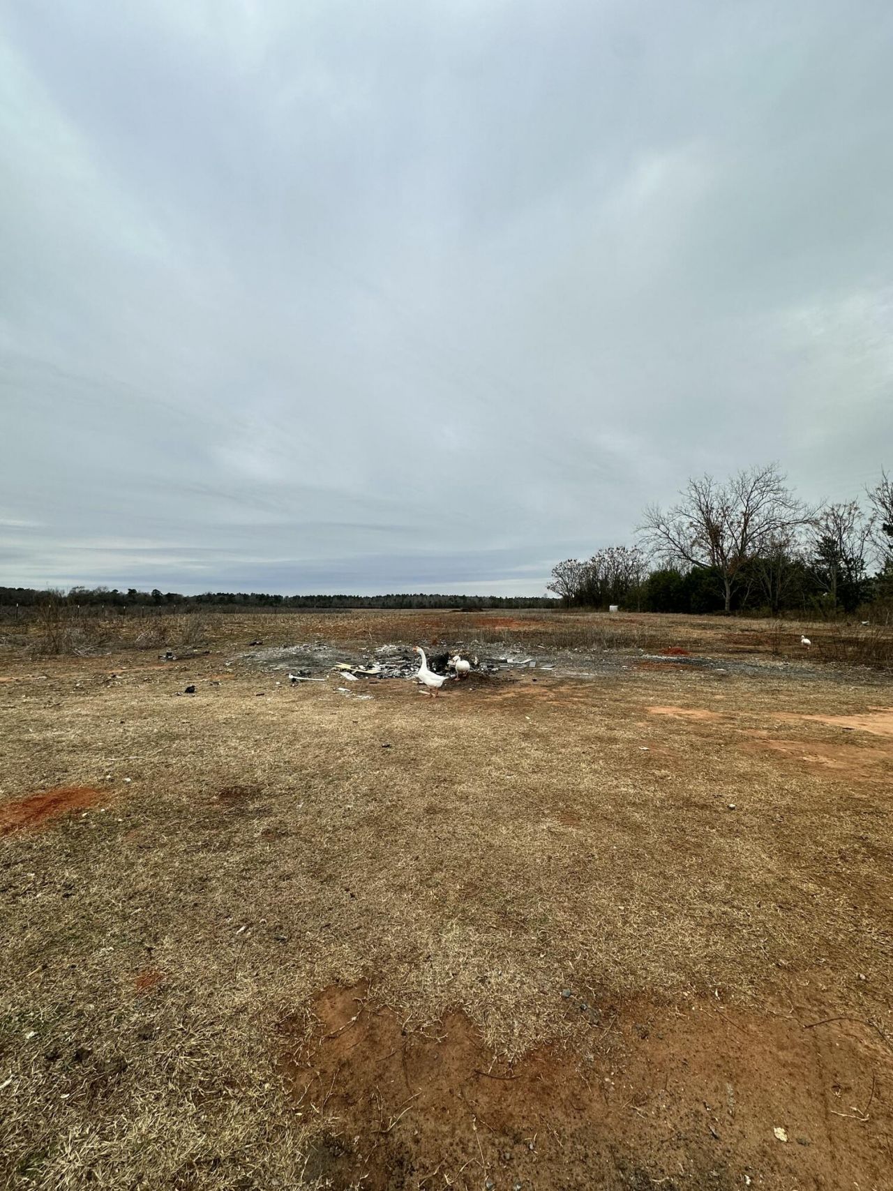 6995 Arthur Gayle Road Photo 27