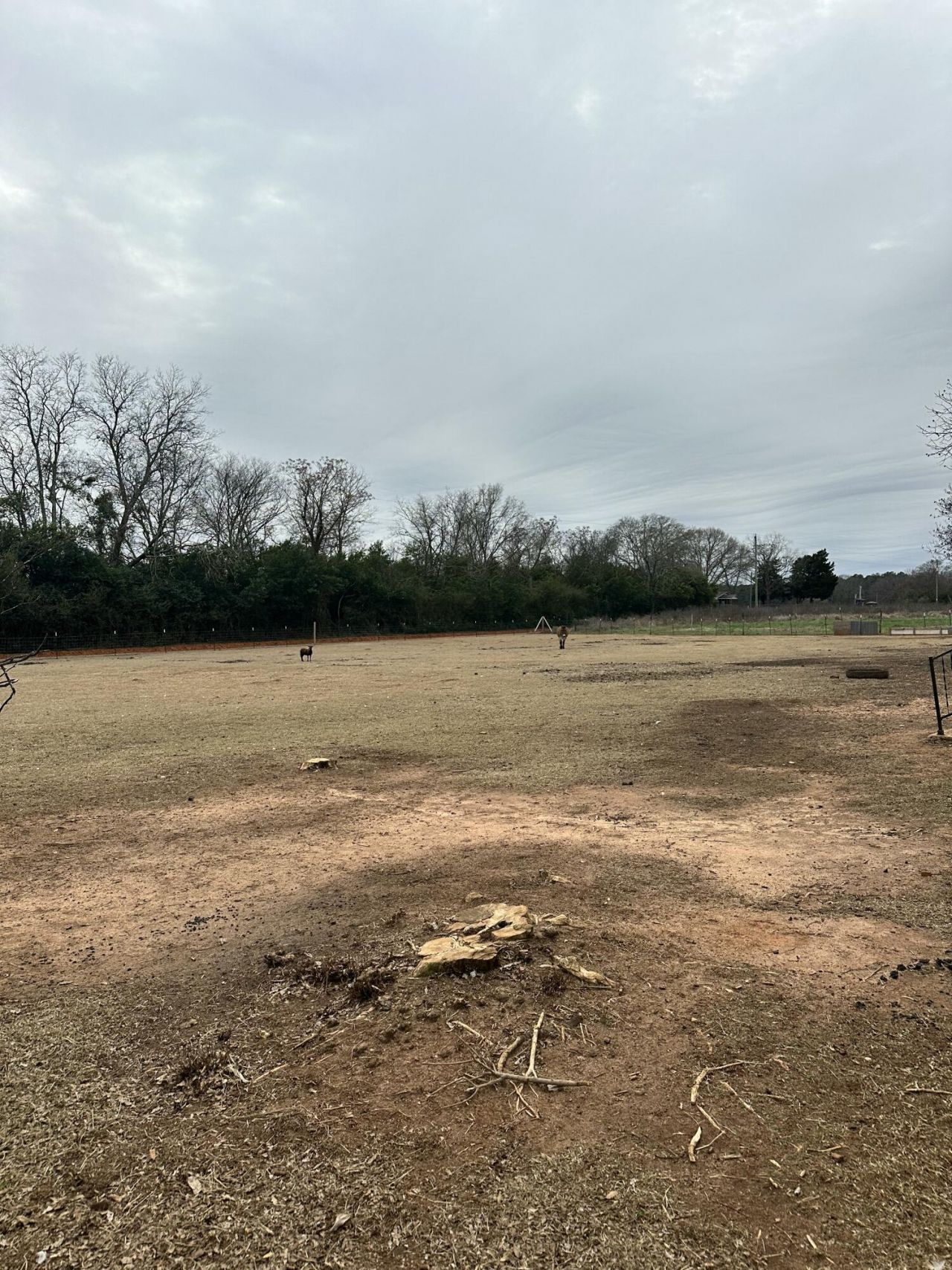 6995 Arthur Gayle Road Photo 32