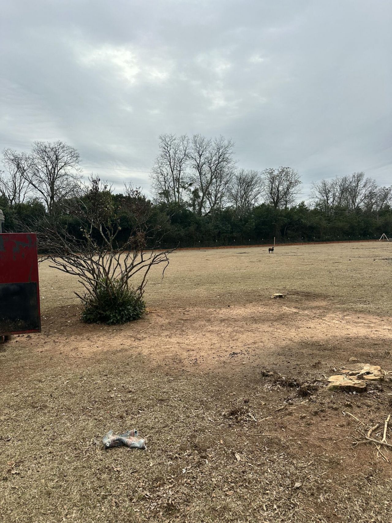 6995 Arthur Gayle Road Photo 33