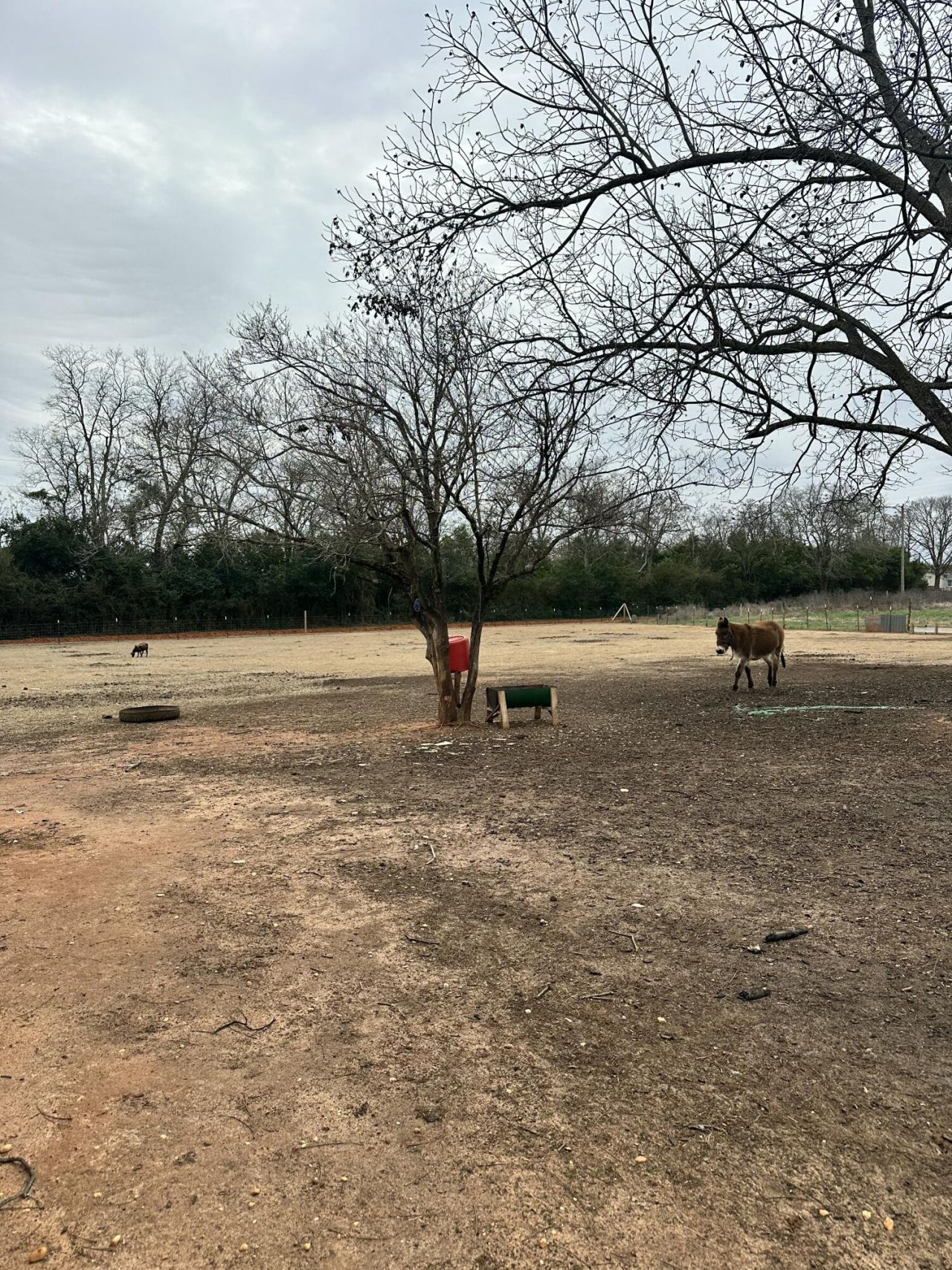 6995 Arthur Gayle Road Photo 36