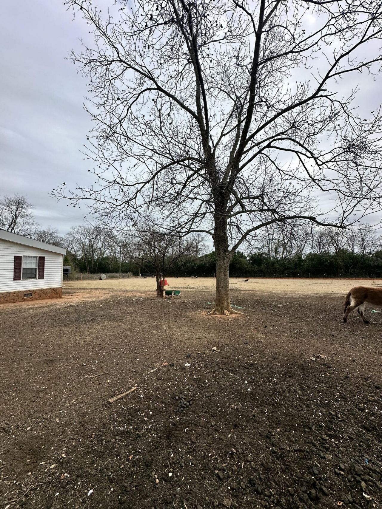 6995 Arthur Gayle Road Photo 40