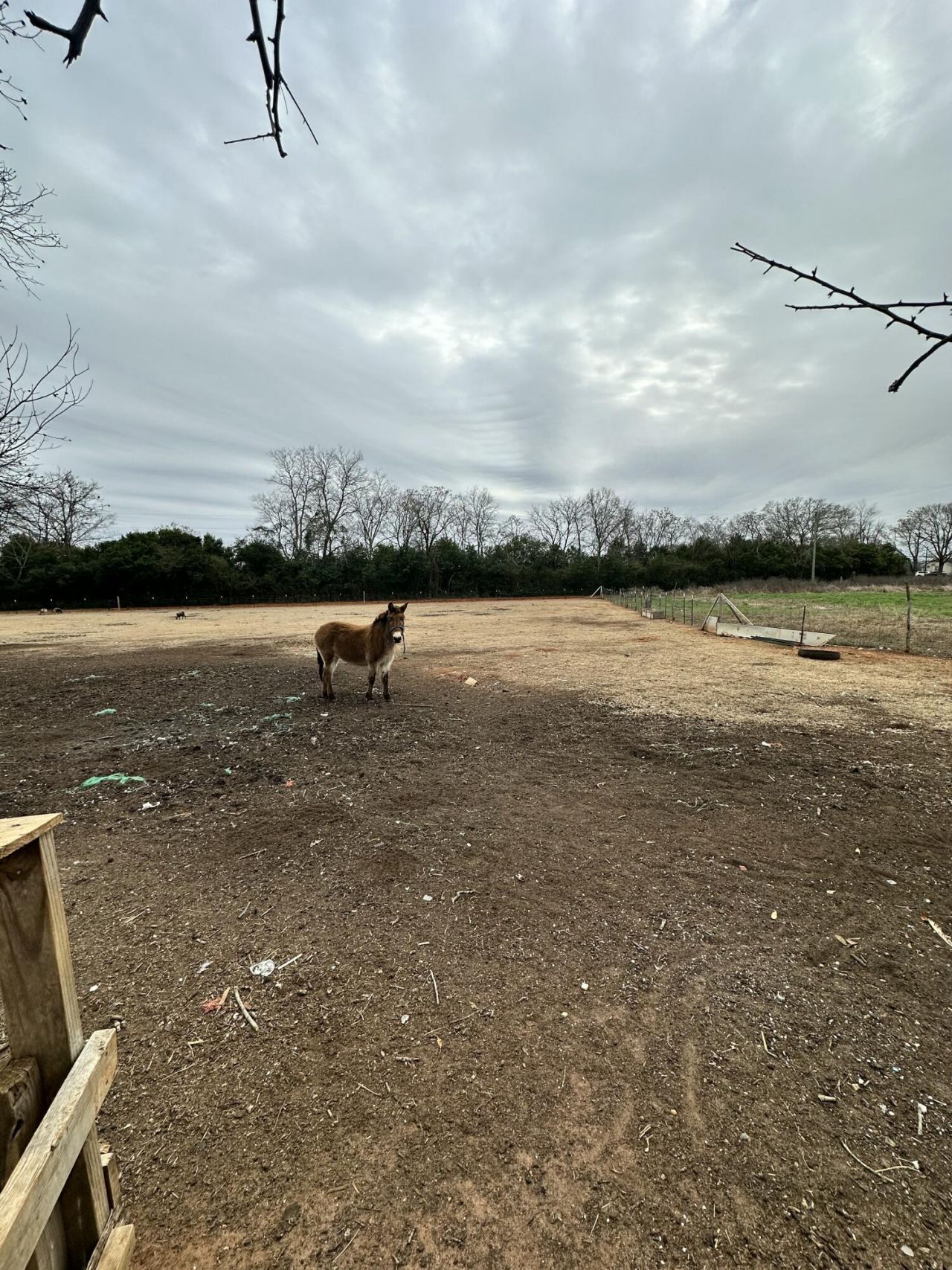 6995 Arthur Gayle Road Photo 41