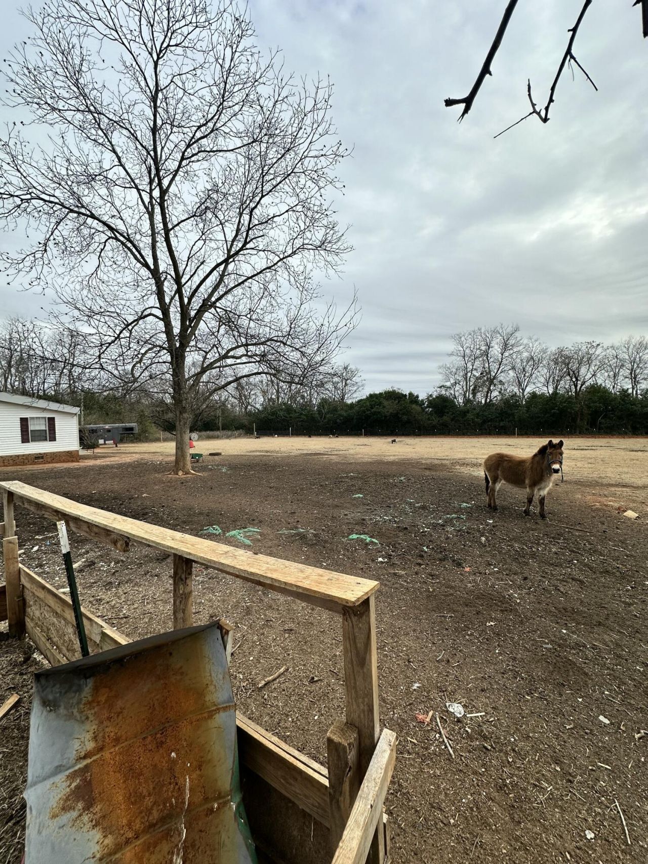 6995 Arthur Gayle Road Photo 42