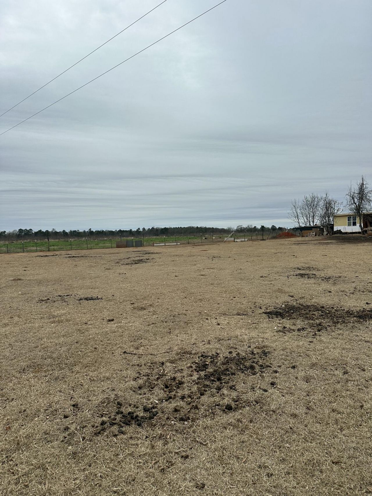 6995 Arthur Gayle Road Photo 54