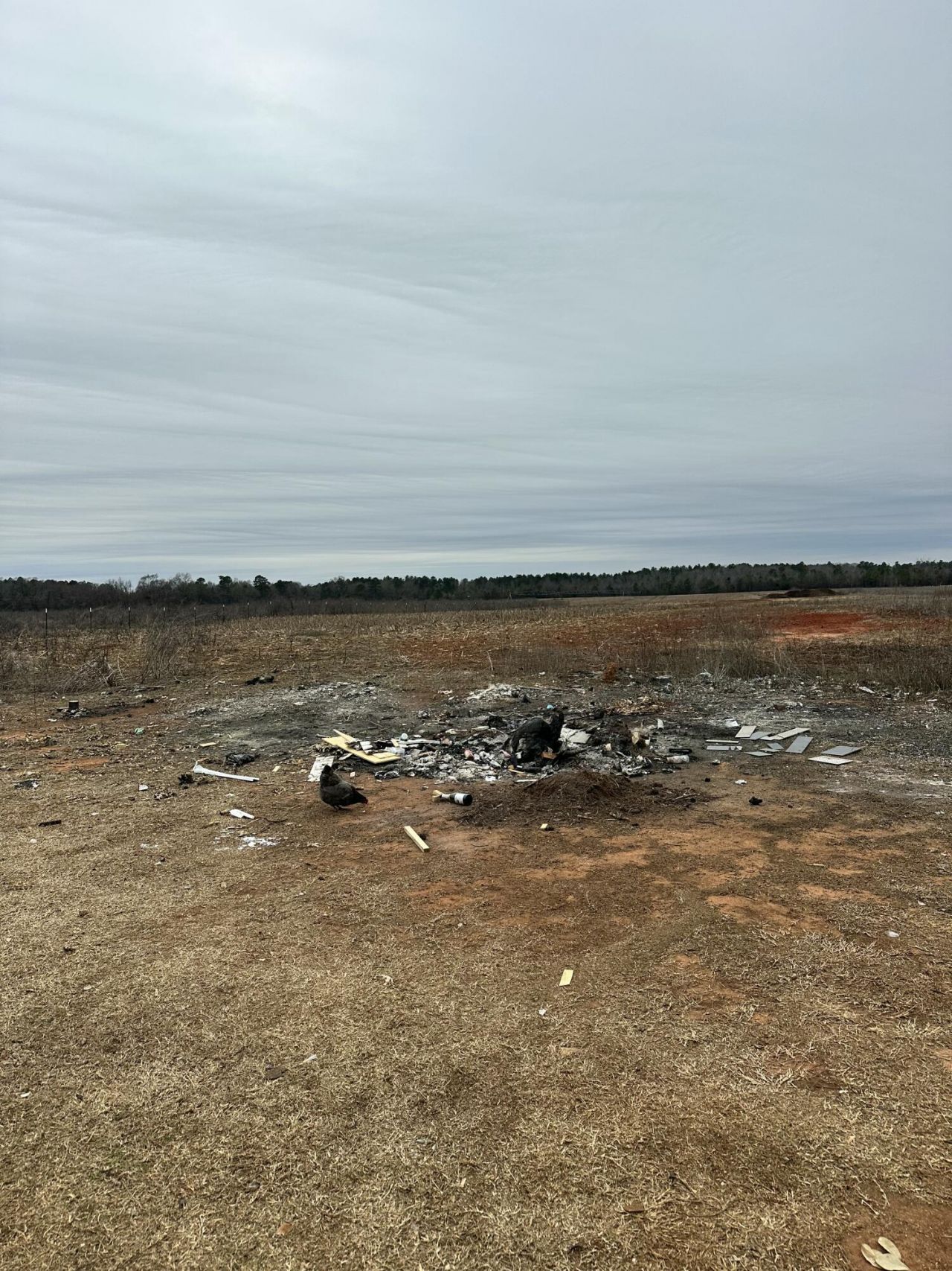 6995 Arthur Gayle Road Photo 57