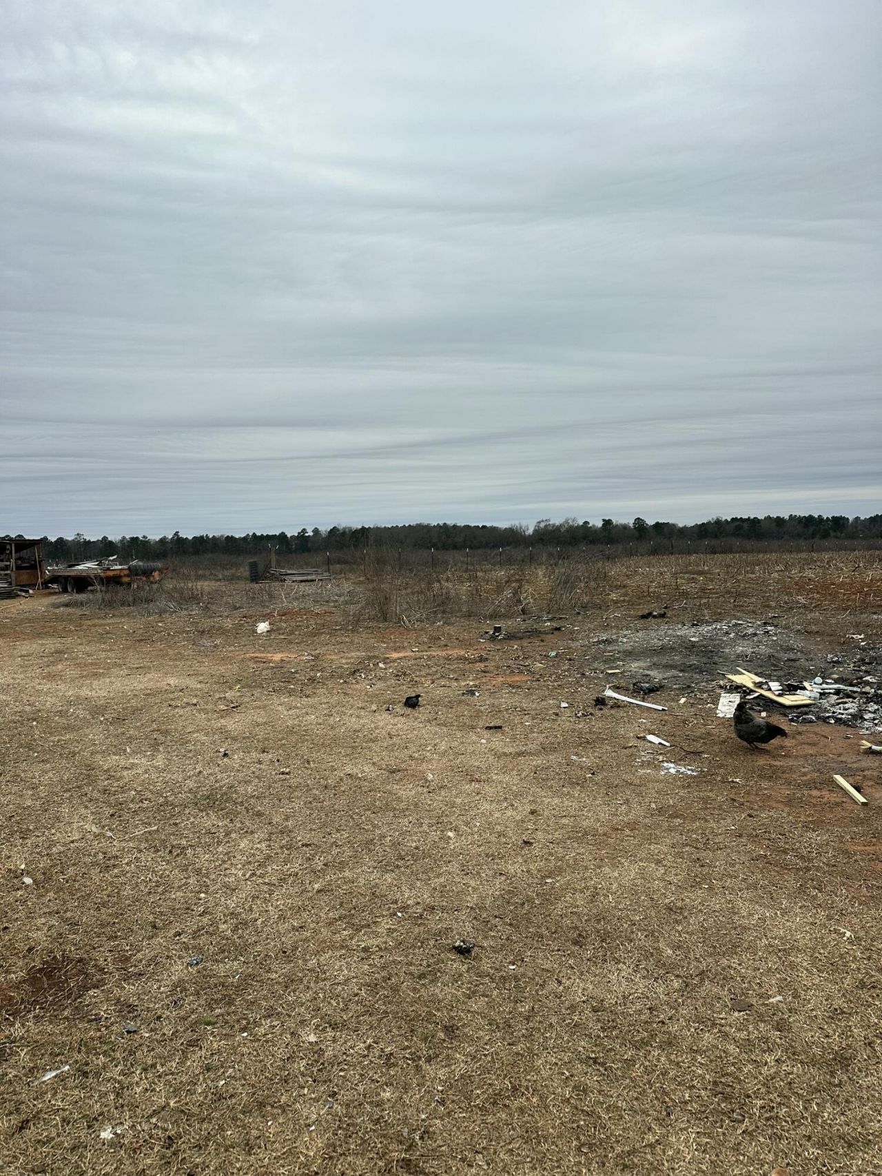 6995 Arthur Gayle Road Photo 58